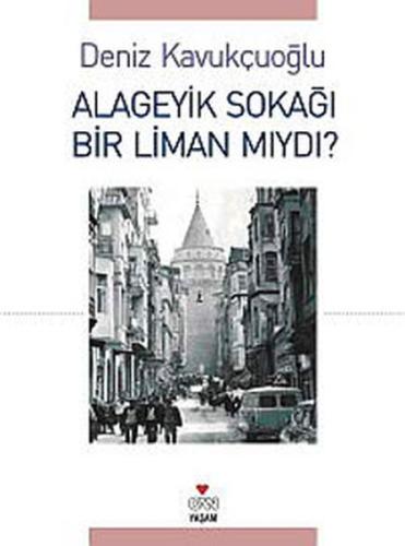 Alageyik Sokağı Bir Liman mıydı?