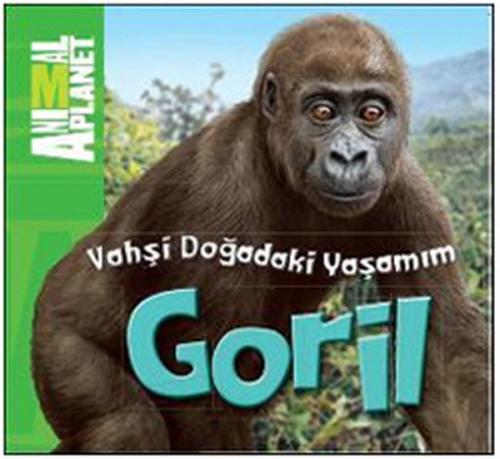 Animal Planet Doğadaki Vahşi Yaşamım Goril