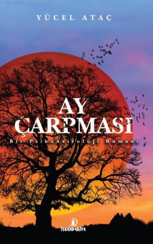 Ay Çarpması - Bir PsikoAstroloji Romanı