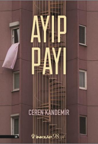 Ayıp Payı