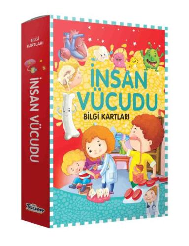 Bilgi Kartları - İnsan Vücudu