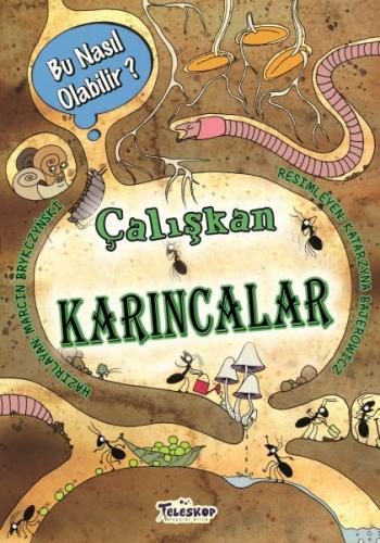 Çalışkan Karıncalar - Bu Nasıl Olabilir?