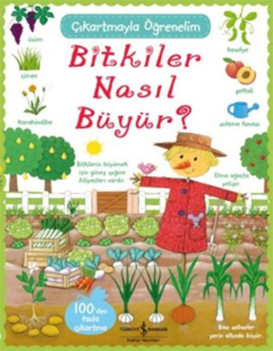 Çıkartmayla Öğrenelim Bitkiler Nasıl Büyür?