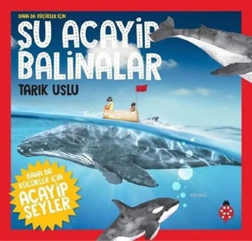 Daha da Küçükler İçin Şu Acayip Balinalar - Daha da Küçükler İçin Acay