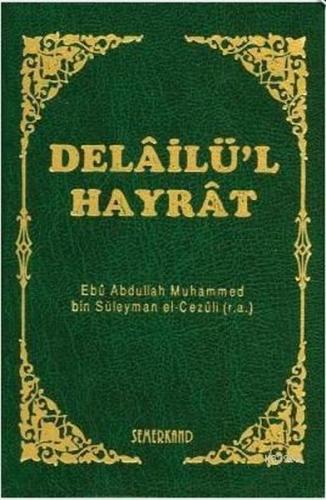 Delailü'l Hayrat (Mini Boy-Kılıflı)