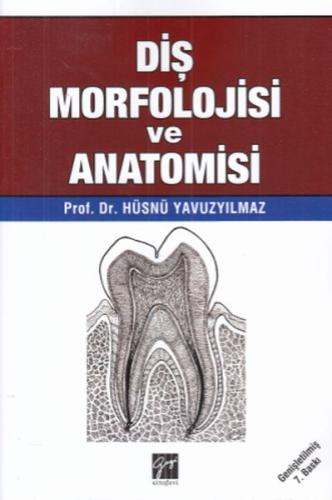 Diş Morfolojisi ve Anatomisi