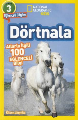 Dörtnala - Atlarla İlgili 10 Eğlenceli Bilgi - 3 Seviye