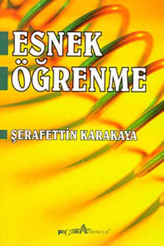 Esnek Öğrenme