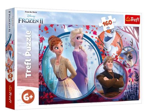 Frozen II 15374 (160 Parça)