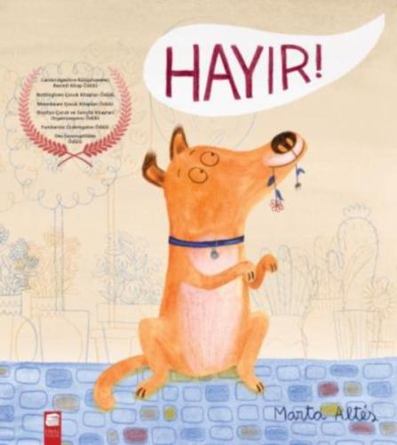 Hayır