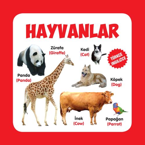 Hayvanlar Türkçe-İngilizce