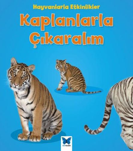 Hayvanlarla Etkinlikler - Kaplanlarla Çıkaralım