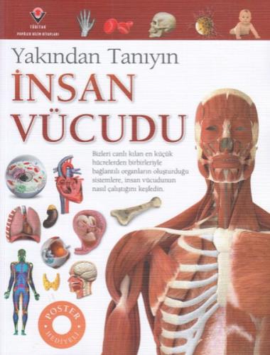 İnsan Vücudu - Yakından Tanıyın