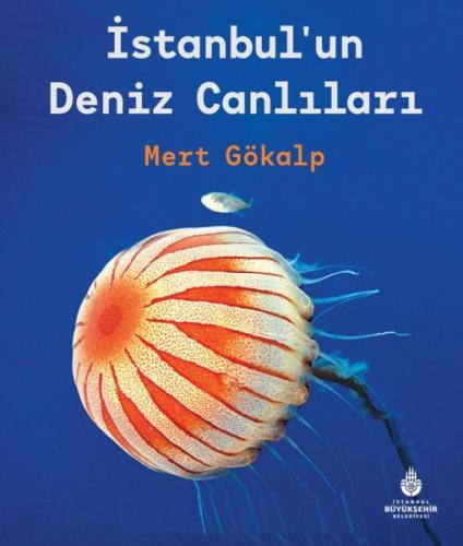 İstanbulun Deniz Canlıları