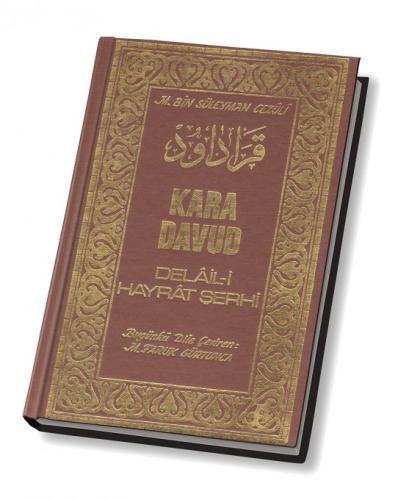 Kara Davud Delail-i Hayrat Şerhi (2.hm)