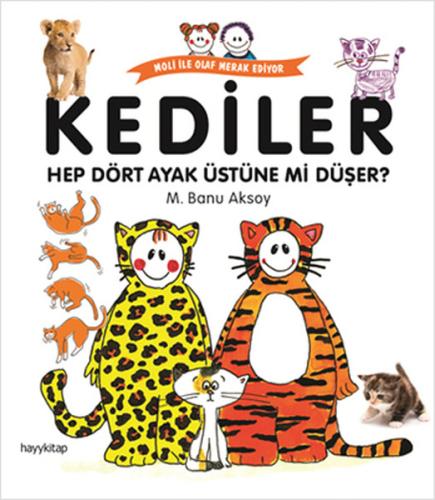 Kediler Dört Ayak Üstüne mi Düşer?