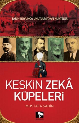 Keskin Zeka Küpeleri