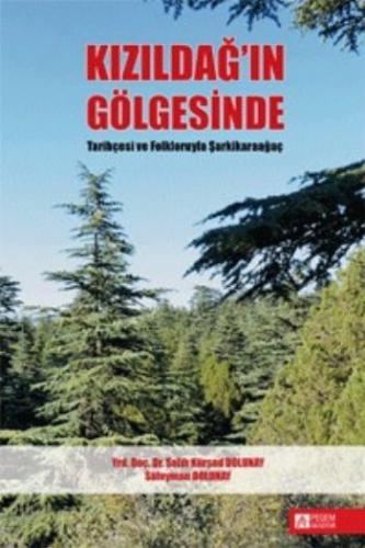 Kızıldağ’ın Gölgesinde Tarihçesi ve Folkloruyla Şarkikaraağaç