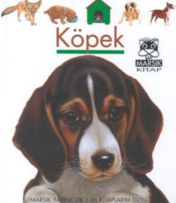 Köpek