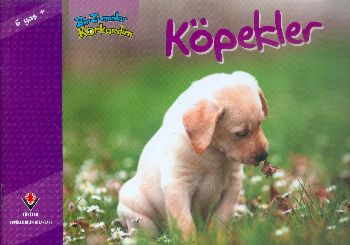 Köpekler / Bir Zamanlar Korkardım