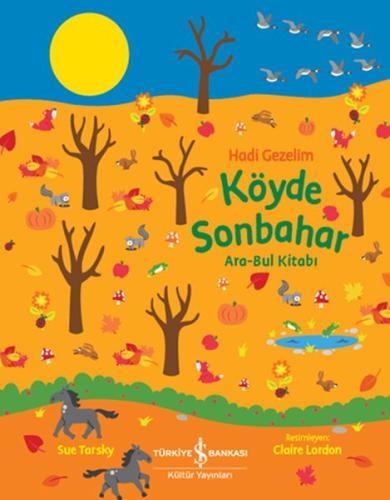 Köyde Sonbahar Ara-Bul Kitabı - Hadi Gezelim