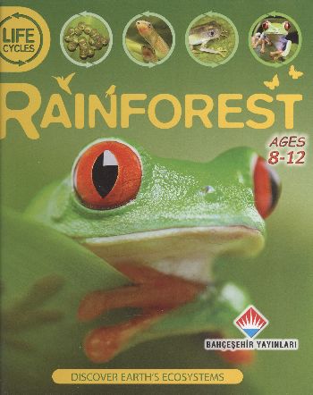 Life Cycles - Rainforest (8-12 Ages)