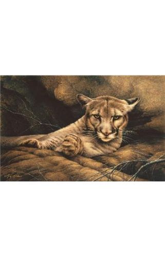 Lioness Resting 1000 Parça Puzzle (40937)