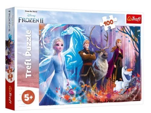 Magic Of Frozen II 16366 (100 Parça)