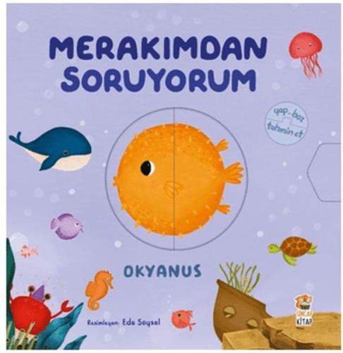 Merakımdan Soruyorum - Okyanus