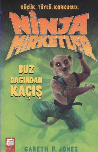 Ninja Mirketler -3 Buz Dağından Kaçış