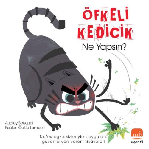 Öfkeli Kedicik Ne Yapsın?