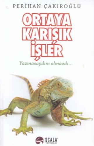 Ortaya Karışık İşler