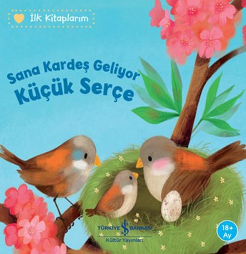 Sana Kardeş Geliyor Küçük Serçe - İlk Kitaplarım