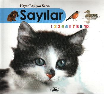 Sayılar (Kitap + İnteraktif CDRom) (Ciltli)