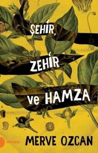 Şehir Zehir ve Hamza