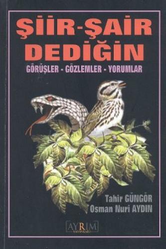 Şiir - Şair Dediğin