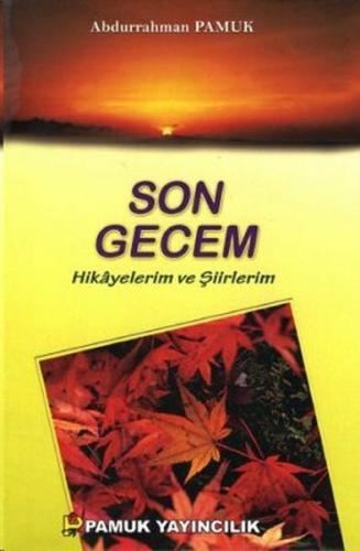 Son Gecem - Hikayelerim ve Şiirlerim