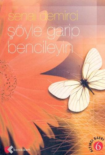 Şöyle Garip Bencileyin -Denemeler-