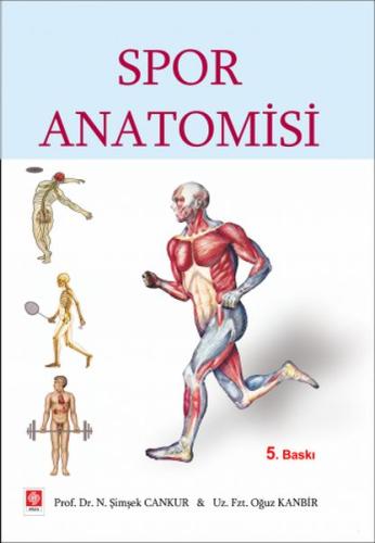 Spor Anatomisi