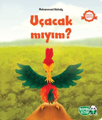 Uçacak mıyım?