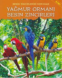 Yağmur Ormanı - Besin Zincirleri