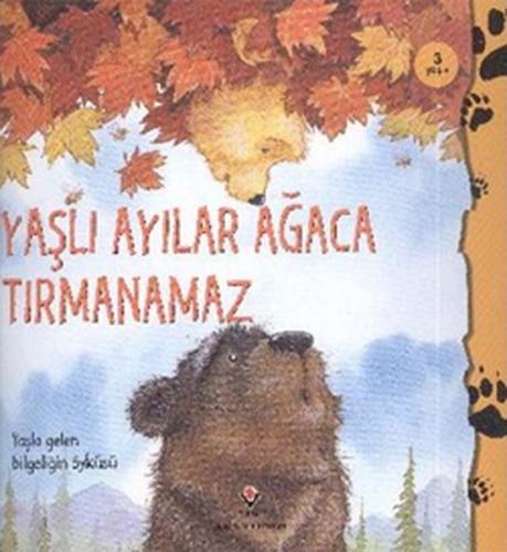 Yaşlı Ayılar Ağaca Tırmanamaz